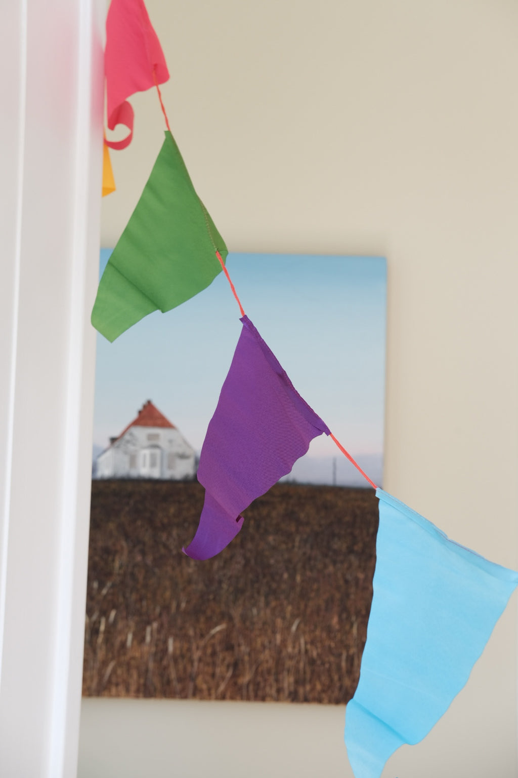 Vimpelranke • 10 meter • Multifarvet