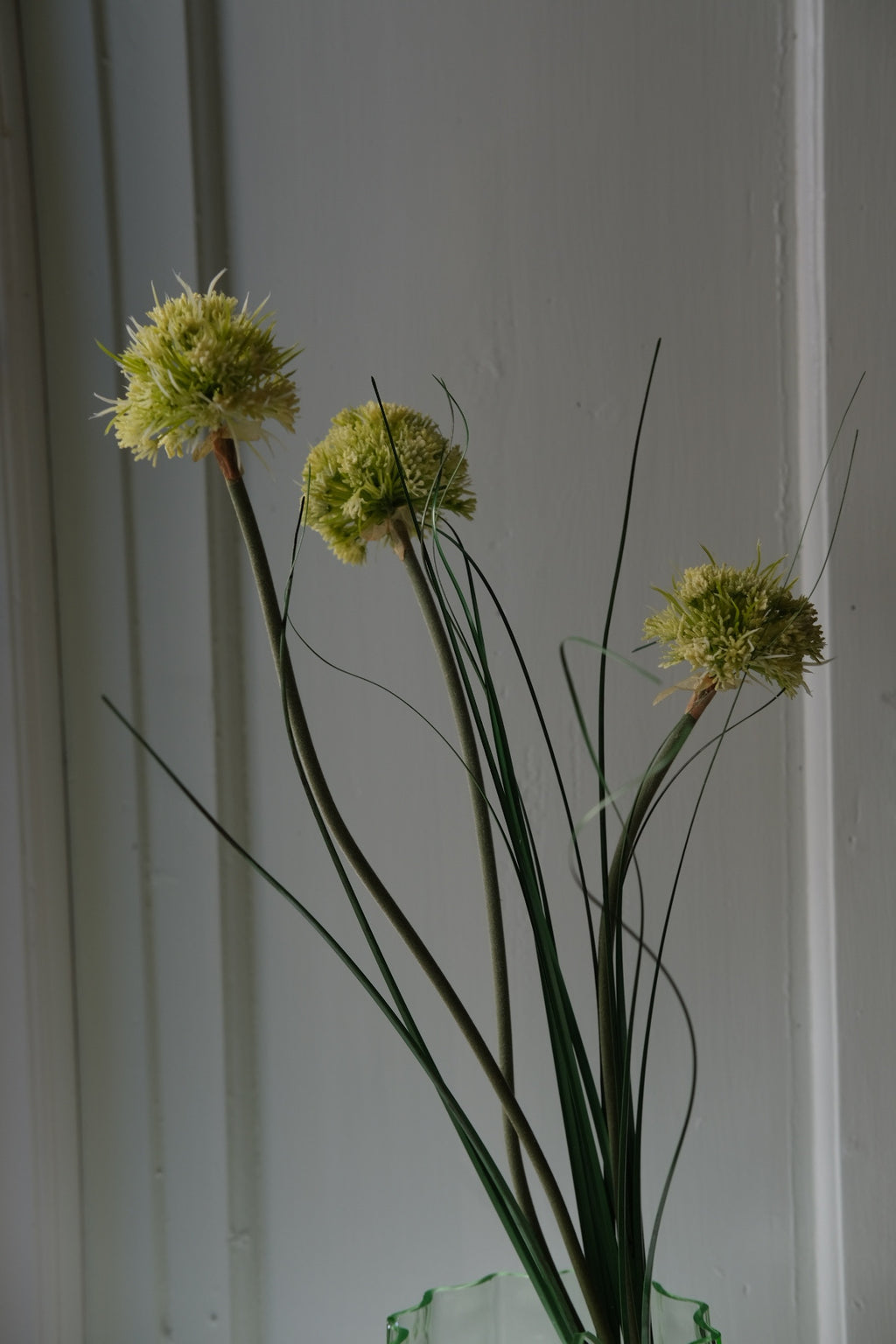 Blomst • Allium • Grøn