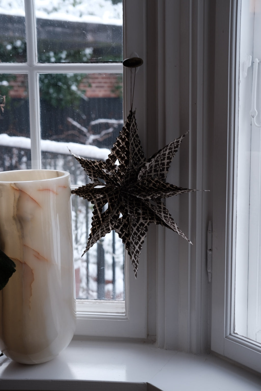 Julestjerne • Sirius • Hvid og brun • DORA