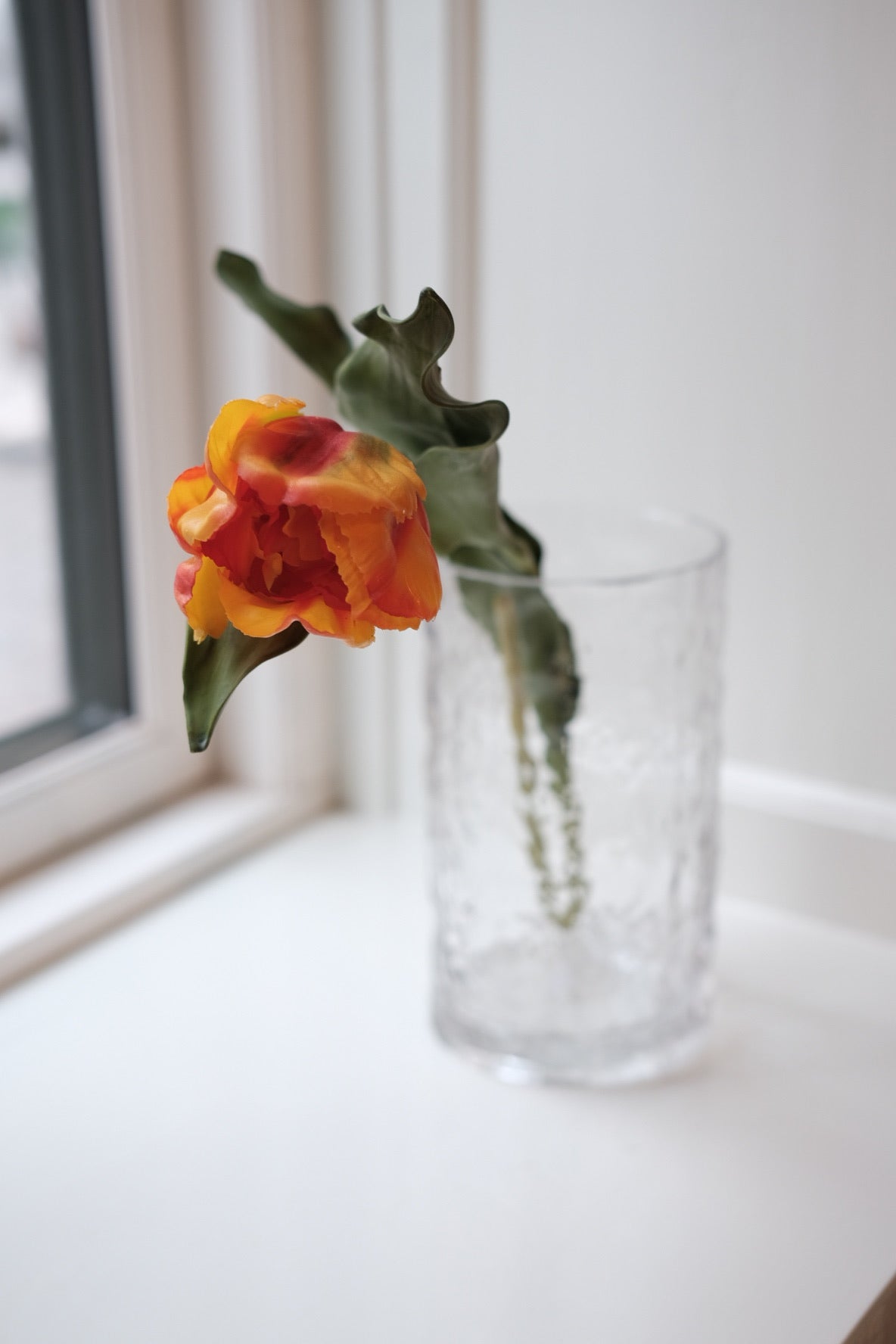 Blomst • Tulipan • Orange