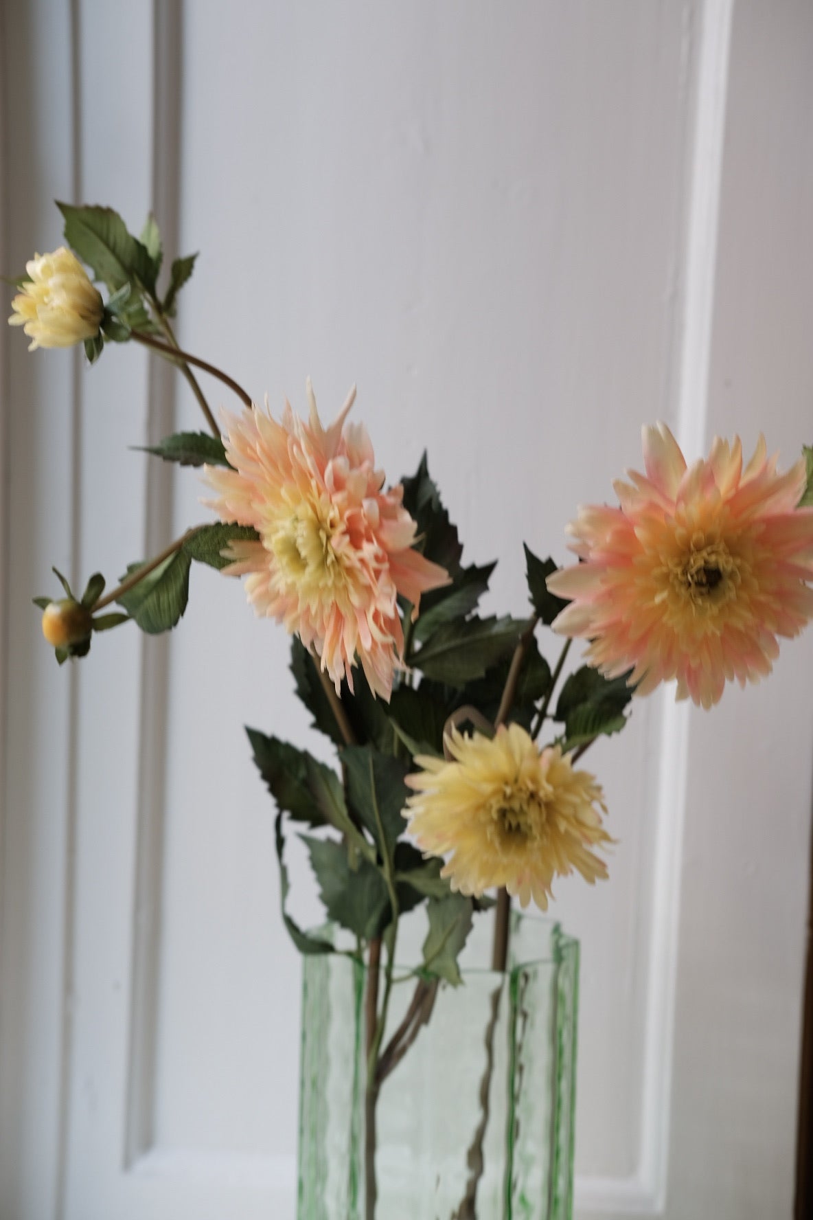 Blomst • Dahlia • Fersken