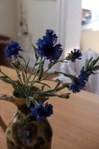 Blomst • Kornblomst • Blå • DORA