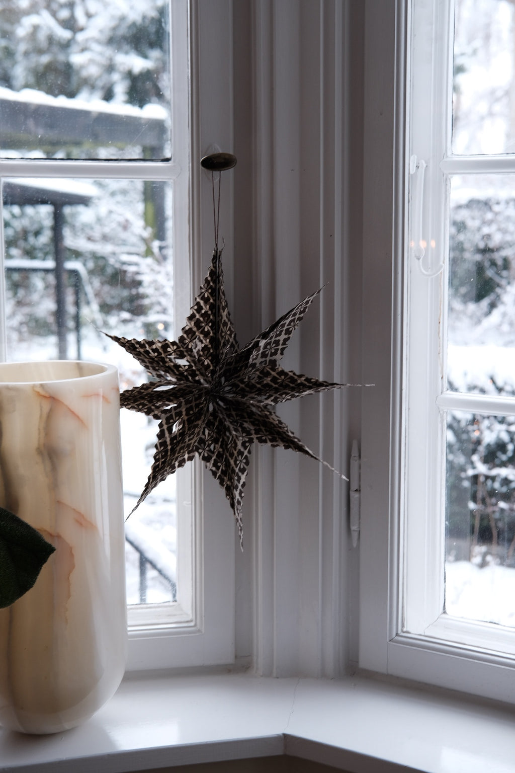 Julestjerne • Sirius • Hvid og brun • DORA