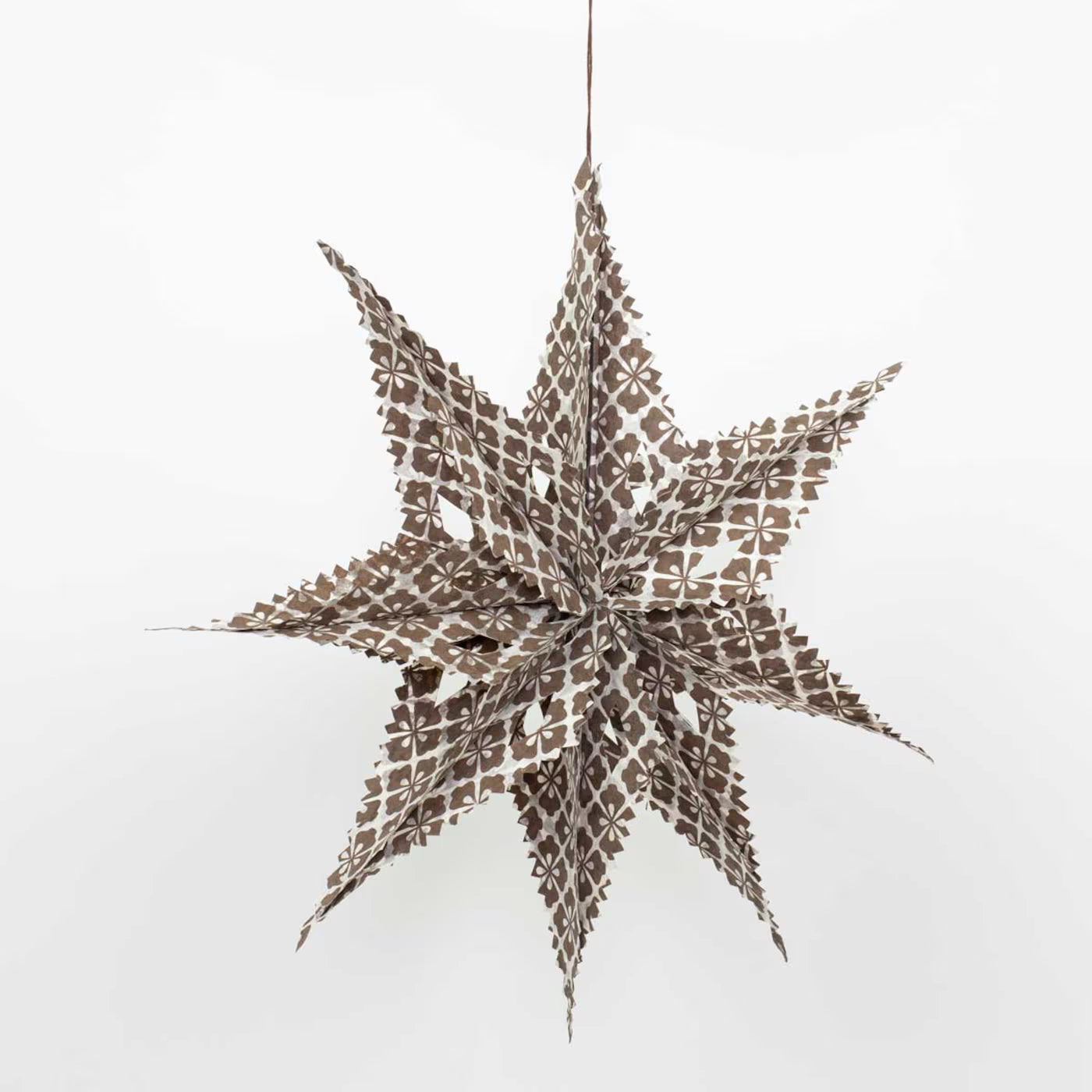 Julestjerne • Sirius • Hvid og brun