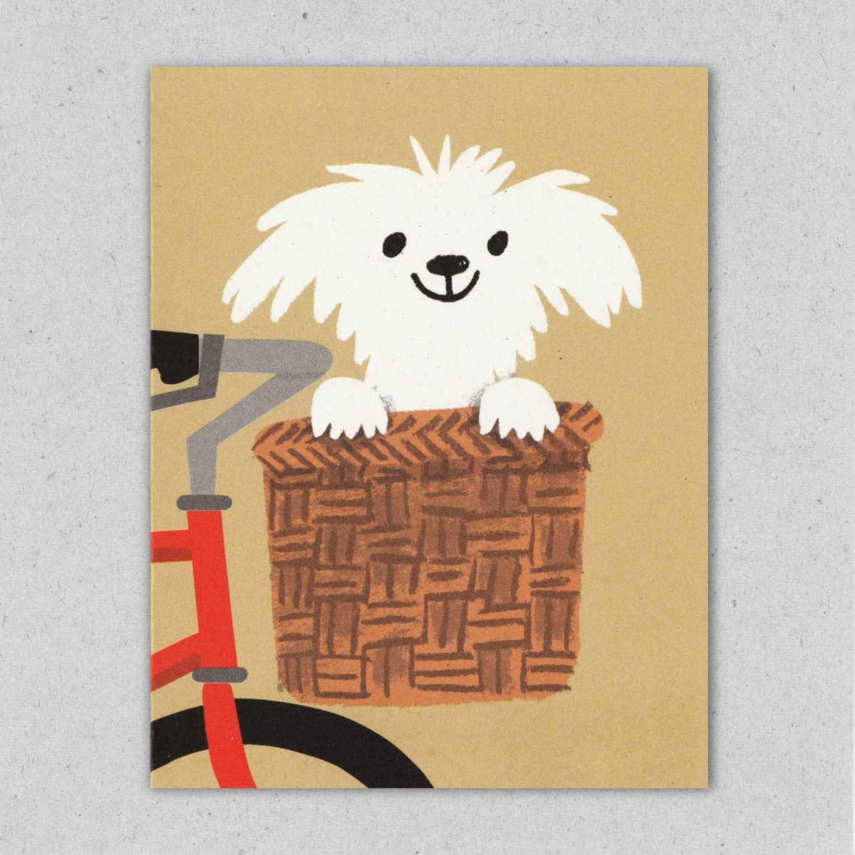 Hvid hund i cykelkurv, Lisa Jones Studio, sidder komfortabel med grønne blade i baggrunden.