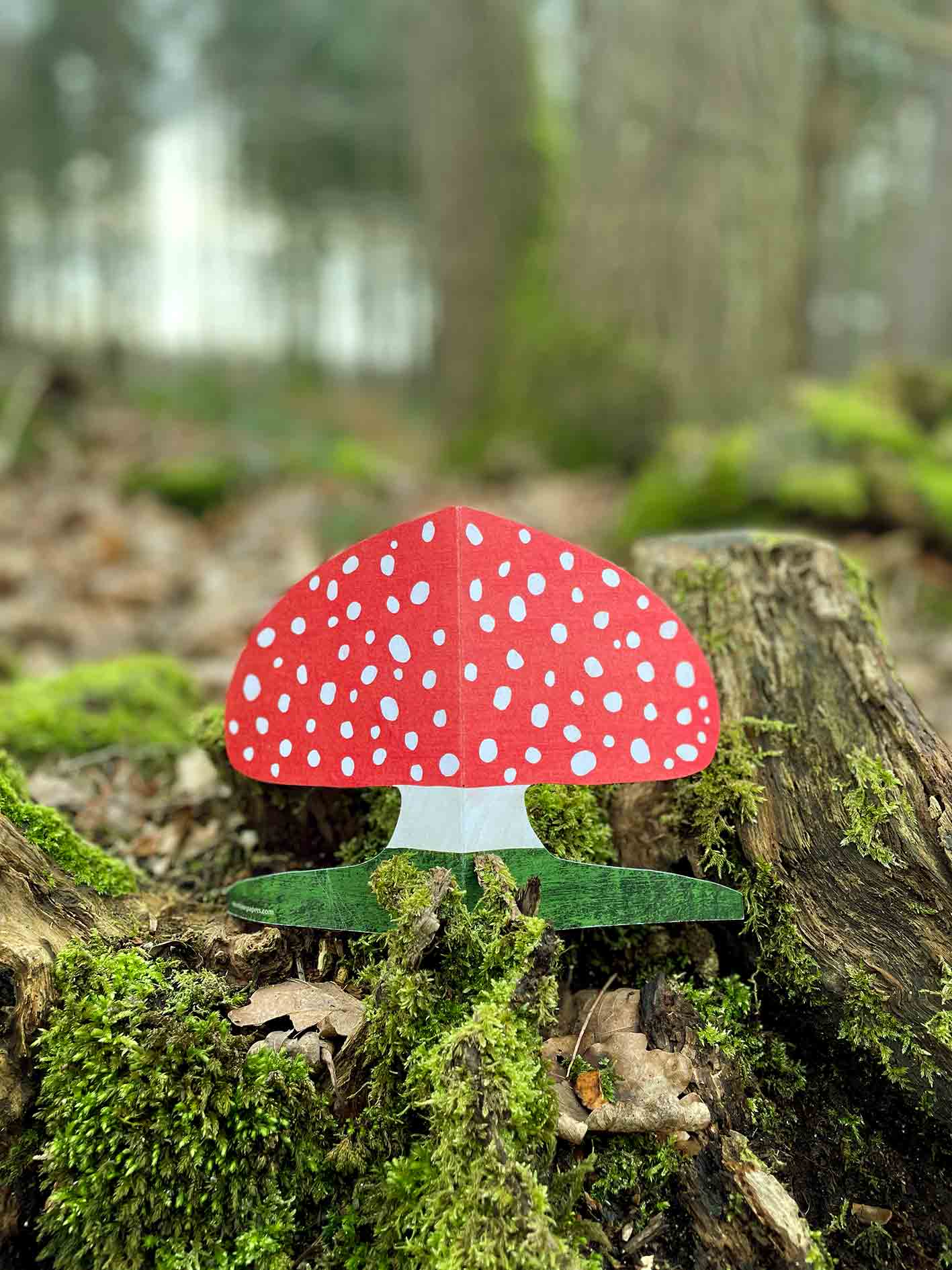 Kort featuring red fly agaric mushrooms, designed by Mortlake Papers with vibrant woodland-themed illustrations.