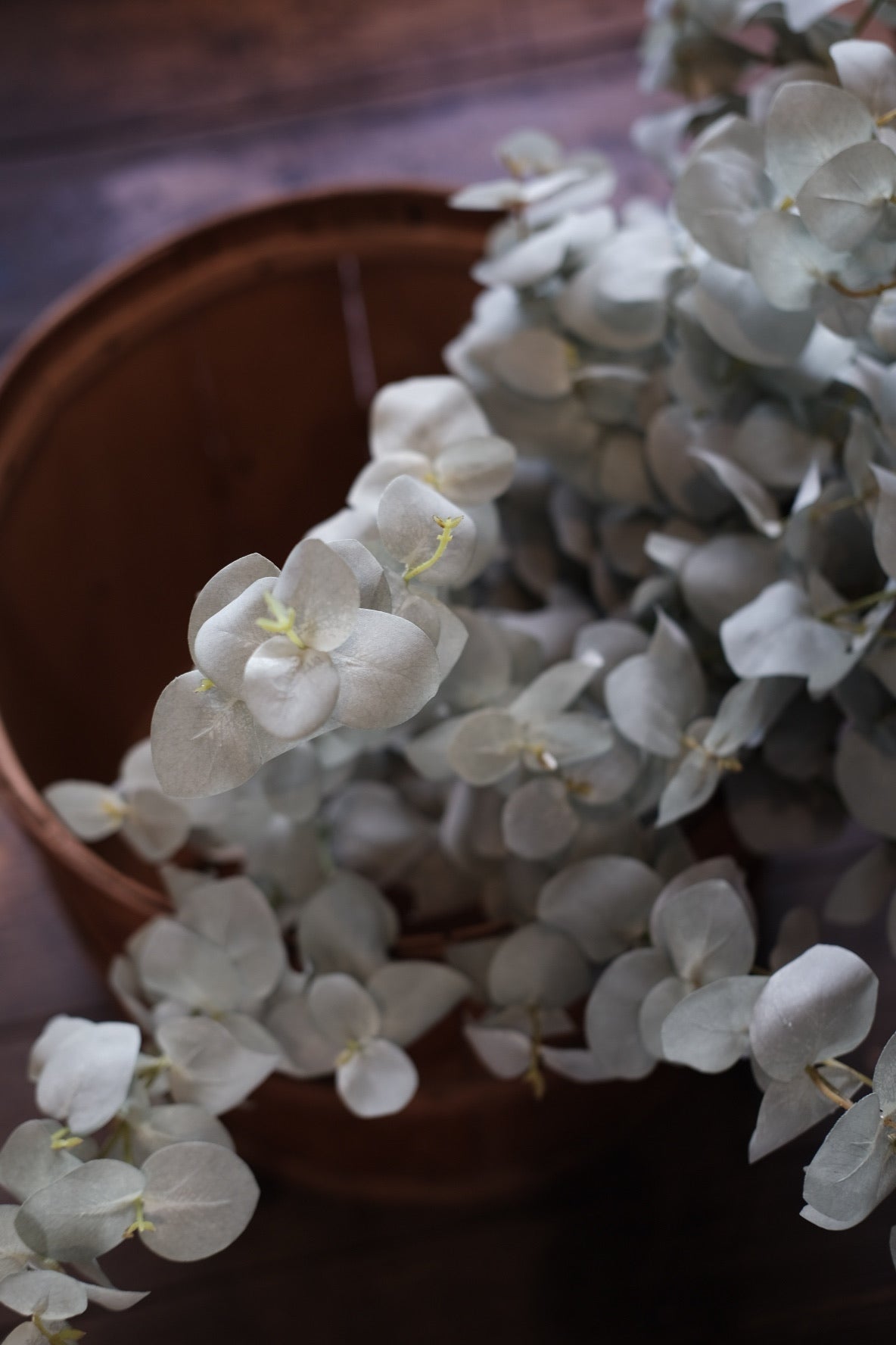 Blomst • Eucalyptus • Grå - DORA