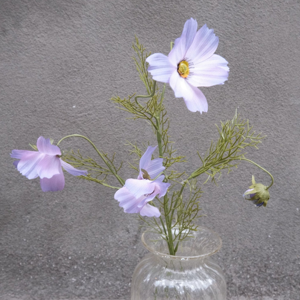 Flower • Cosmos • Purple