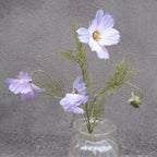 Flower • Cosmos • Purple