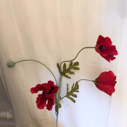 Poppy • 3 flowers • Red