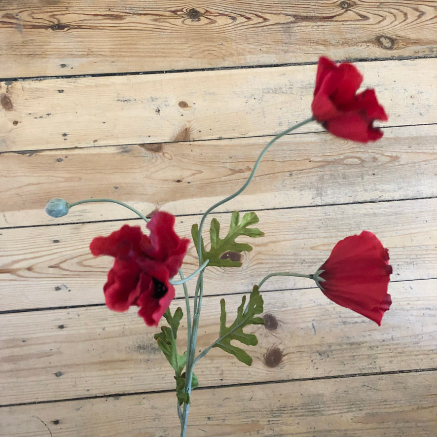 Blomst • Valmue • 3 blomster • Rød • DORA