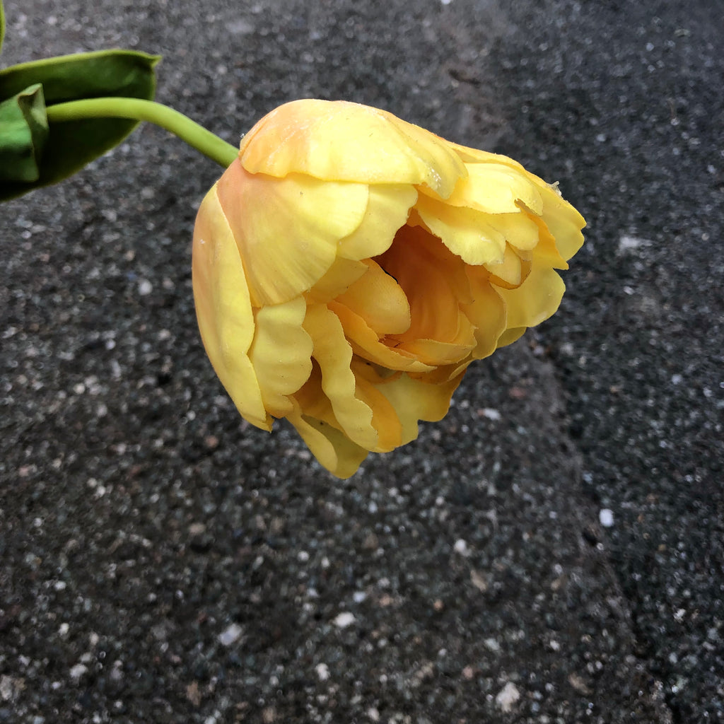 Bright yellow tulip flower from Vranckx's Blomst collection, showcasing vibrant petals and fresh green leaves.