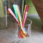 Spoon • Little • Tortoise