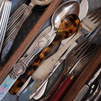 Spoon • Little • Tortoise