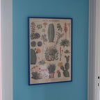 Plakat • Kaktus • Sendes Ikke